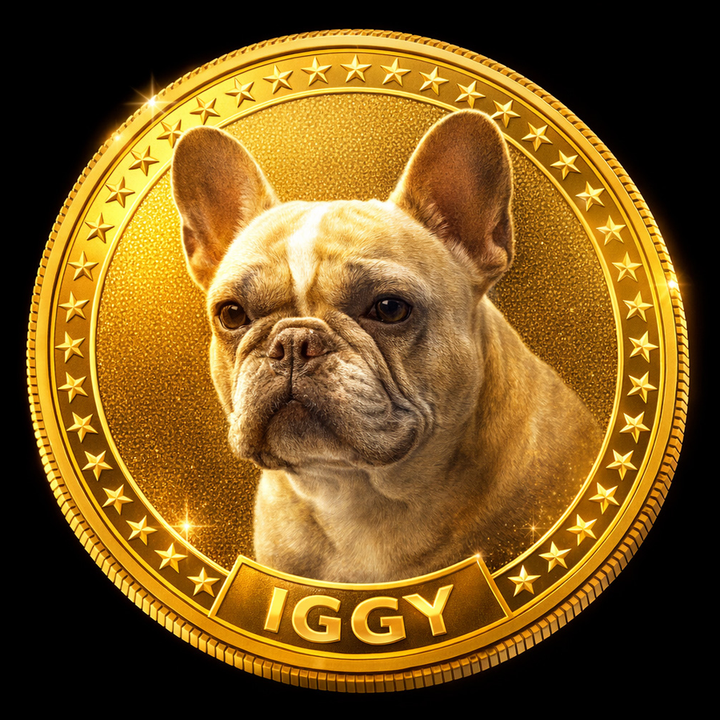 $IGGY — the golden frenchie coin